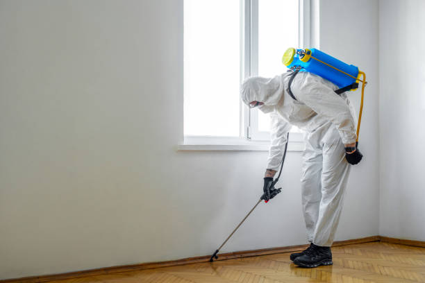 Best Flea Control Services  in Hazleton, PA