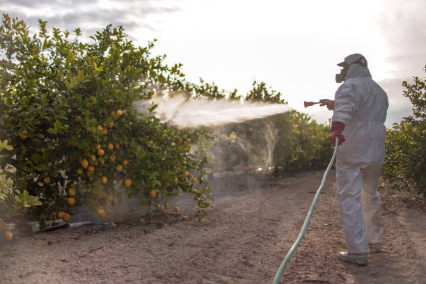 Best Wasp Removal Services  in Hazleton, PA