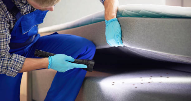 Best Local Pest Control Services  in Hazleton, PA