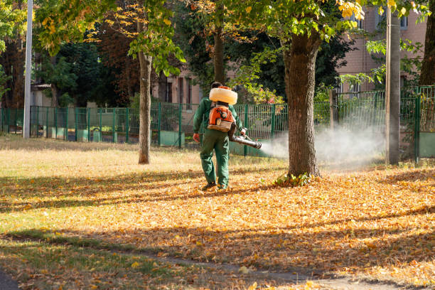 Best Best Pest Control Companies  in Hazleton, PA