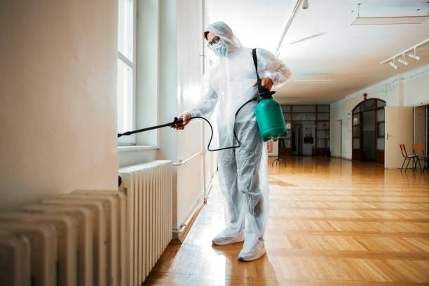 Best Emergency Pest Control  in Hazleton, PA