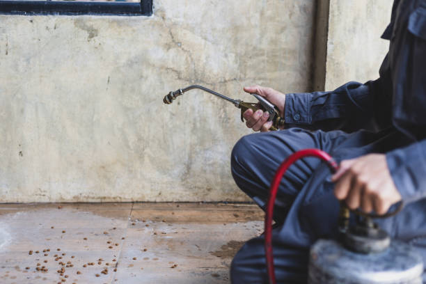 Best Pest Control Near Me  in Hazleton, PA